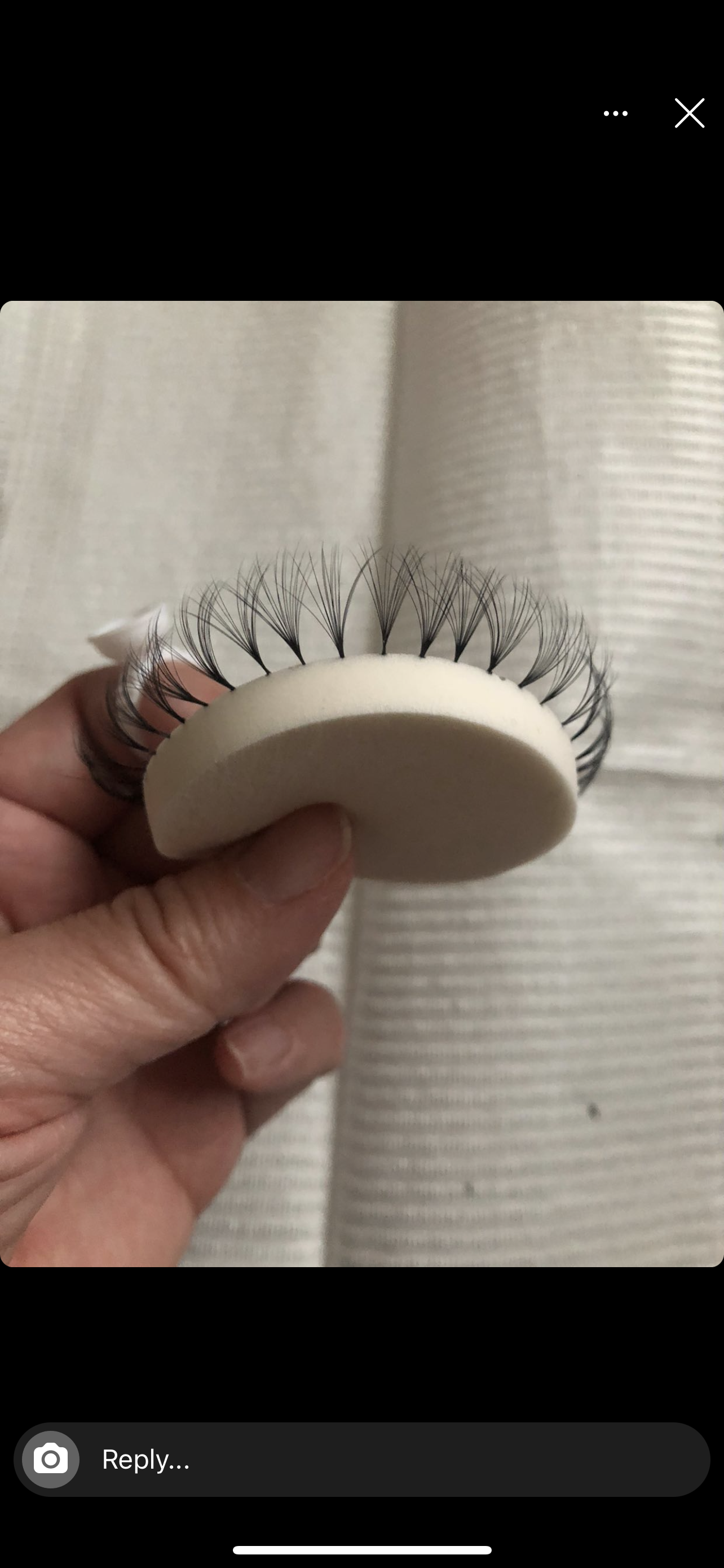 lash refresher & custom training