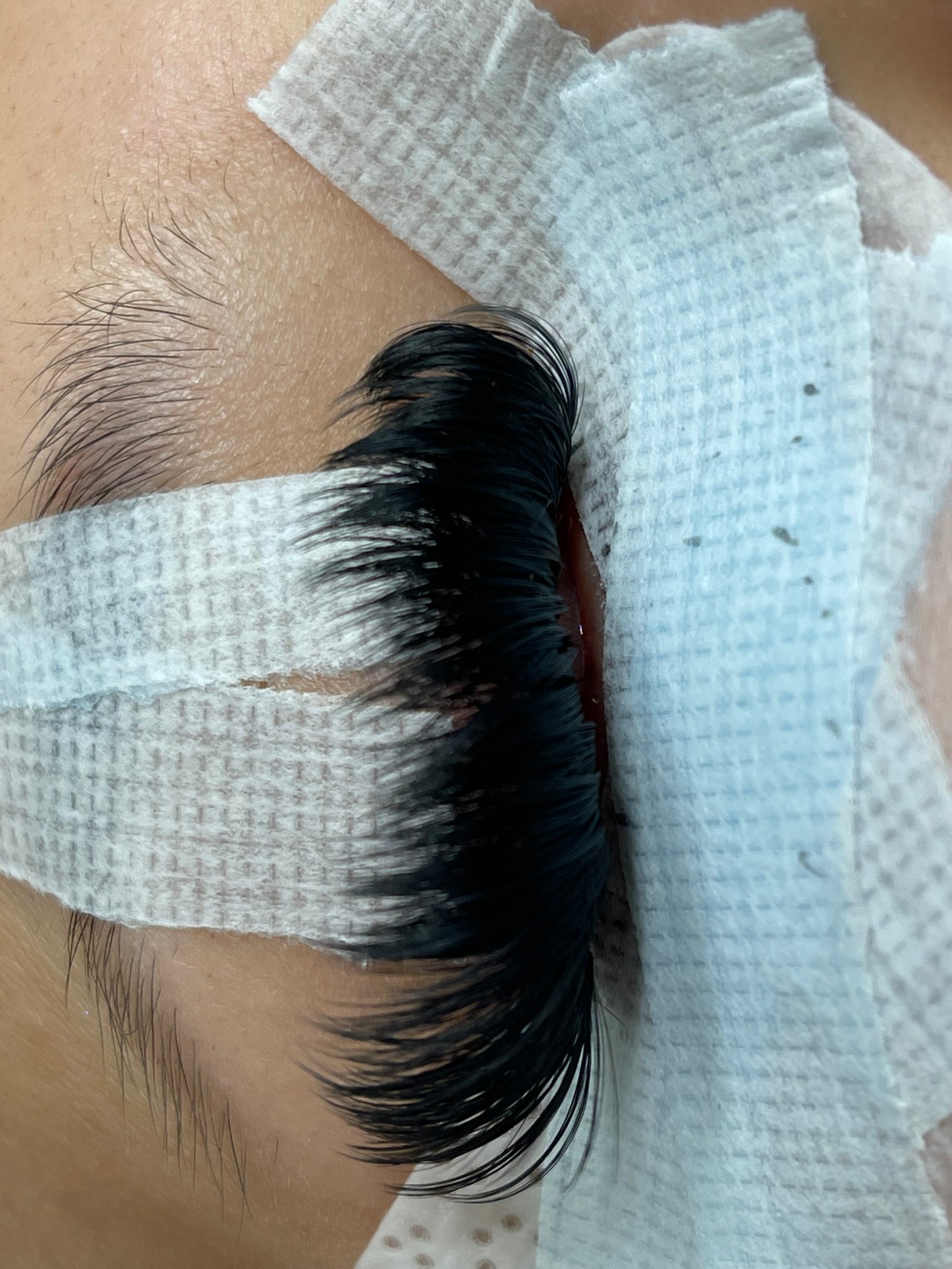 lash refresher & custom training