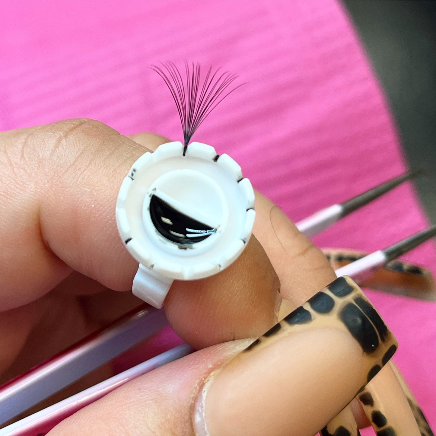 group beginner lash training