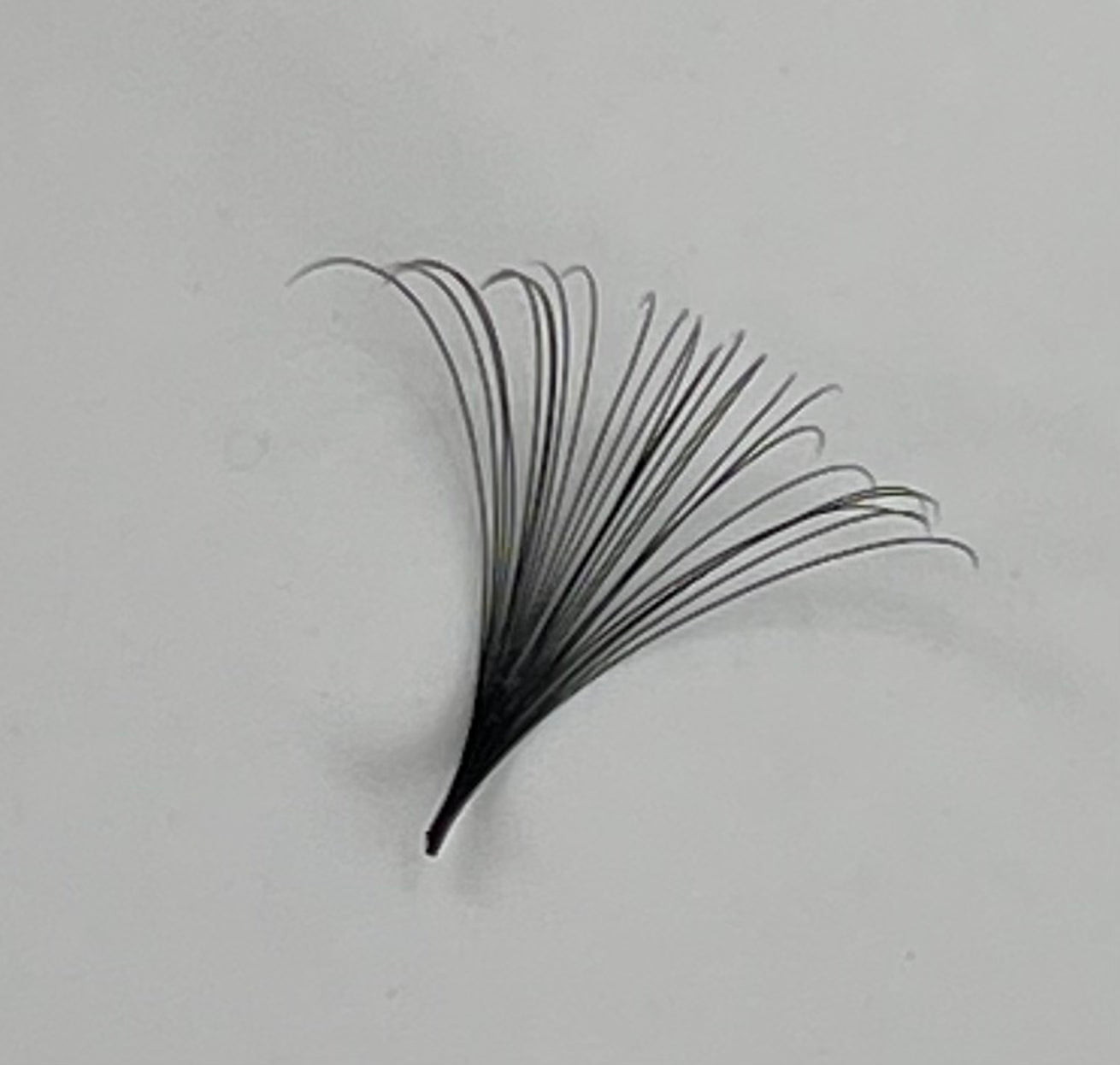 lash refresher & custom training
