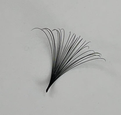 lash refresher & custom training
